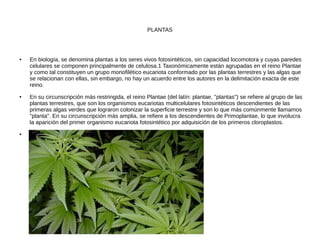 PLANTAS
● En biología, se denomina plantas a los seres vivos fotosintéticos, sin capacidad locomotora y cuyas paredes
celulares se componen principalmente de celulosa.1 Taxonómicamente están agrupadas en el reino Plantae
y como tal constituyen un grupo monofilético eucariota conformado por las plantas terrestres y las algas que
se relacionan con ellas, sin embargo, no hay un acuerdo entre los autores en la delimitación exacta de este
reino.
● En su circunscripción más restringida, el reino Plantae (del latín: plantae, "plantas") se refiere al grupo de las
plantas terrestres, que son los organismos eucariotas multicelulares fotosintéticos descendientes de las
primeras algas verdes que lograron colonizar la superficie terrestre y son lo que más comúnmente llamamos
"planta". En su circunscripción más amplia, se refiere a los descendientes de Primoplantae, lo que involucra
la aparición del primer organismo eucariota fotosintético por adquisición de los primeros cloroplastos.
●
 