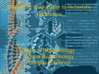 M.Sc. II Biotechnology
Animal Biotechnology
Dariyus Z Kabraji
Observing retinopathy in metastatic
melanoma
M.Sc. II Biotechnology
Animal Biotechnology
Dariyus Z Kabraji
 