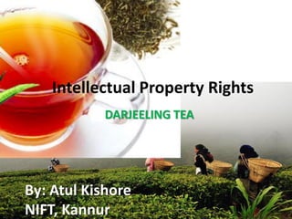 Intellectual Property Rights
             ikbakbjb
            DARJEELING TEA
               hbbdsjb



By: Atul Kishore
NIFT, Kannur
 