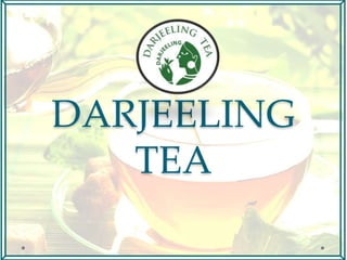 DARJEELING
TEA
 