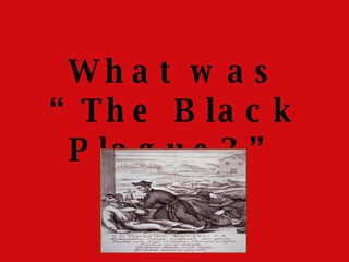 What was “The Black Plague?”   