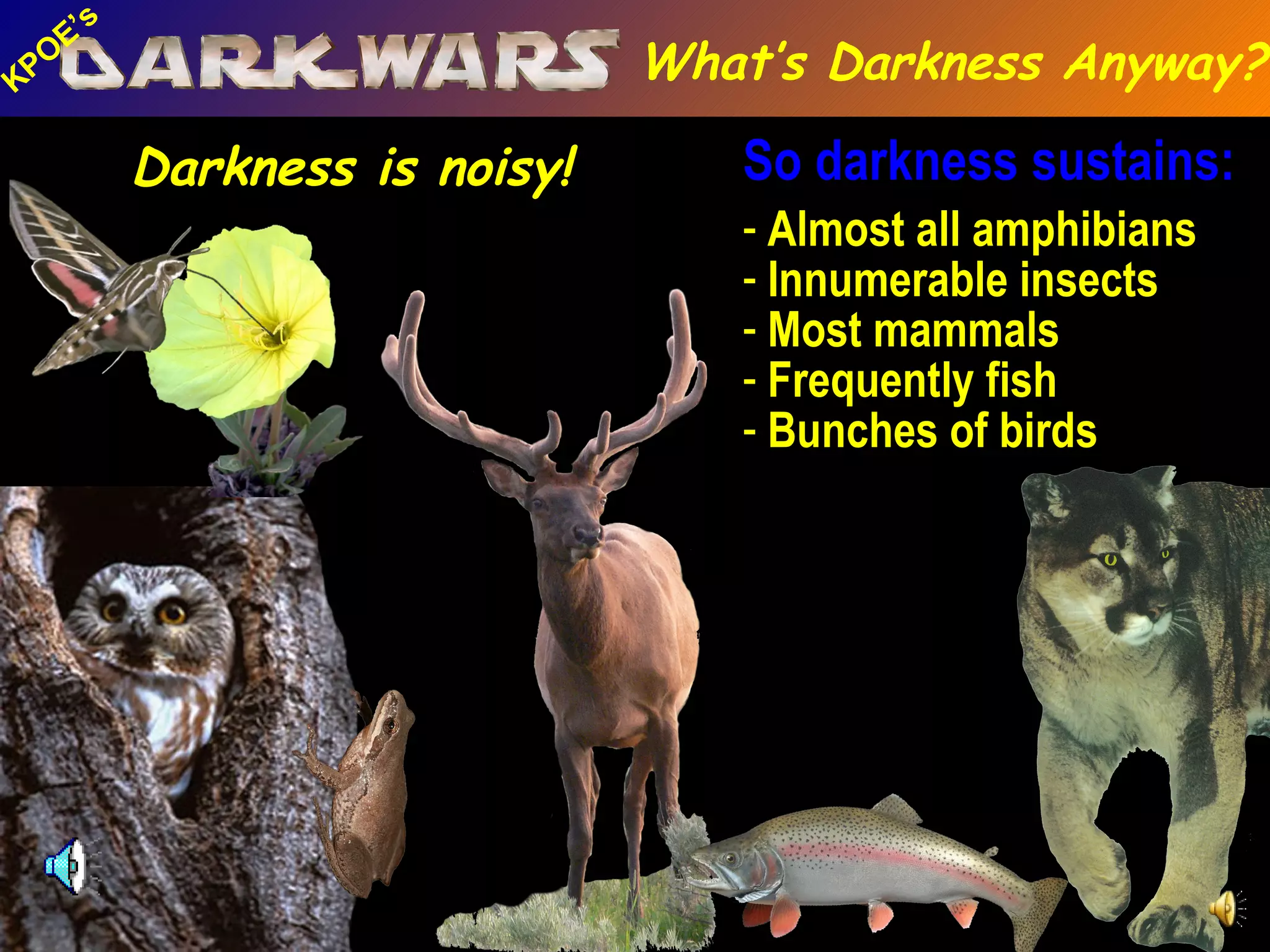 Mtn. Lion Elk Northern Saw Whet Owl Sphinx Moth So darkness sustains: Almost all amphibians Innumerable insects Most mammals Frequently fish Bunches of birds W. Chorus Frog Trout Darkness is noisy! What’s Darkness Anyway? 