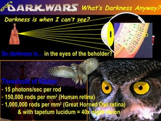 Beholder Rod Dark Wars Tourism Part1 | PPT
