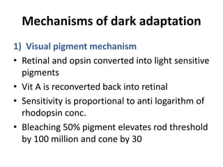 Mechanisms of dark adaptation
1) Visual pigment mechanism
• Retinal and opsin converted into light sensitive
pigments
• Vit A is reconverted back into retinal
• Sensitivity is proportional to anti logarithm of
rhodopsin conc.
• Bleaching 50% pigment elevates rod threshold
by 100 million and cone by 30
 