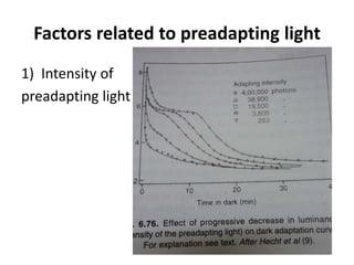 Factors related to preadapting light
1) Intensity of
preadapting light
 
