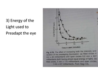 3) Energy of the
Light used to
Preadapt the eye
 