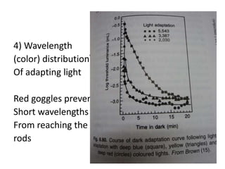 4) Wavelength
(color) distribution
Of adapting light
Red goggles prevent
Short wavelengths
From reaching the
rods
 