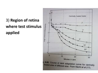 3) Region of retina
where test stimulus
applied
 