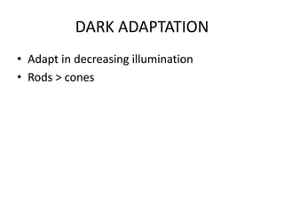 DARK ADAPTATION
• Adapt in decreasing illumination
• Rods > cones
 