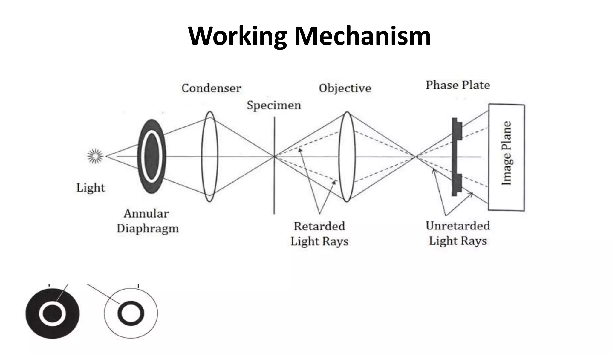 Working Mechanism
 