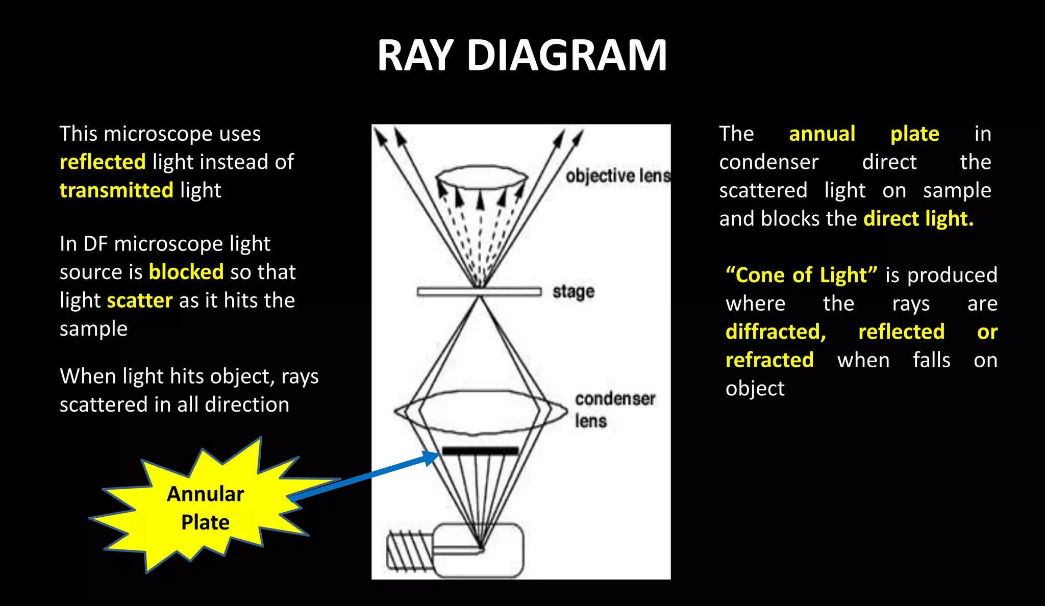 RAY DIAGRAM
Annular
Plate
In DF microscope light
source is blocked so that
light scatter as it hits the
sample
When light hits object, rays
scattered in all direction
The annual plate in
condenser direct the
scattered light on sample
and blocks the direct light.
“Cone of Light” is produced
where the rays are
diffracted, reflected or
refracted when falls on
object
This microscope uses
reflected light instead of
transmitted light
 