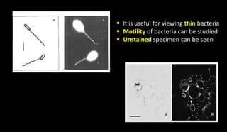Dark field and Phase Contrast Microscope | PPTX