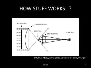 HOW STUFF WORKS…?
CHARLIE 4
SOURCE: http://www.gonda.ucla.edu/bri_core/mic3.gif
 
