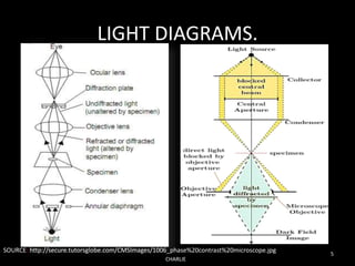 LIGHT DIAGRAMS.
CHARLIE
5
SOURCE: http://secure.tutorsglobe.com/CMSImages/1006_phase%20contrast%20microscope.jpg
 