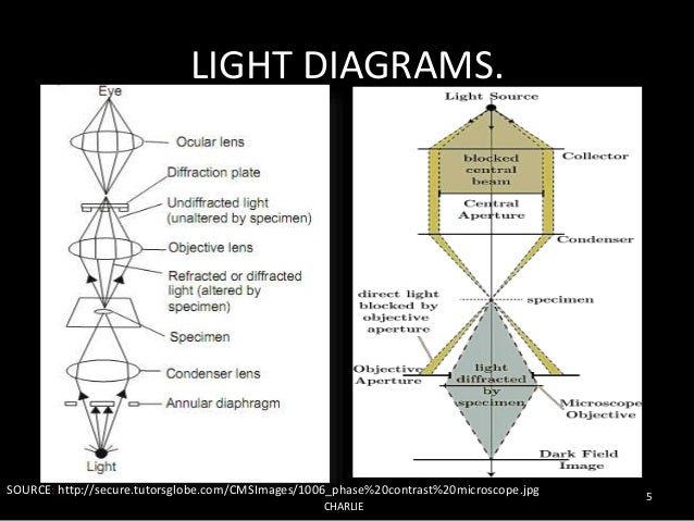 dark field microscopy