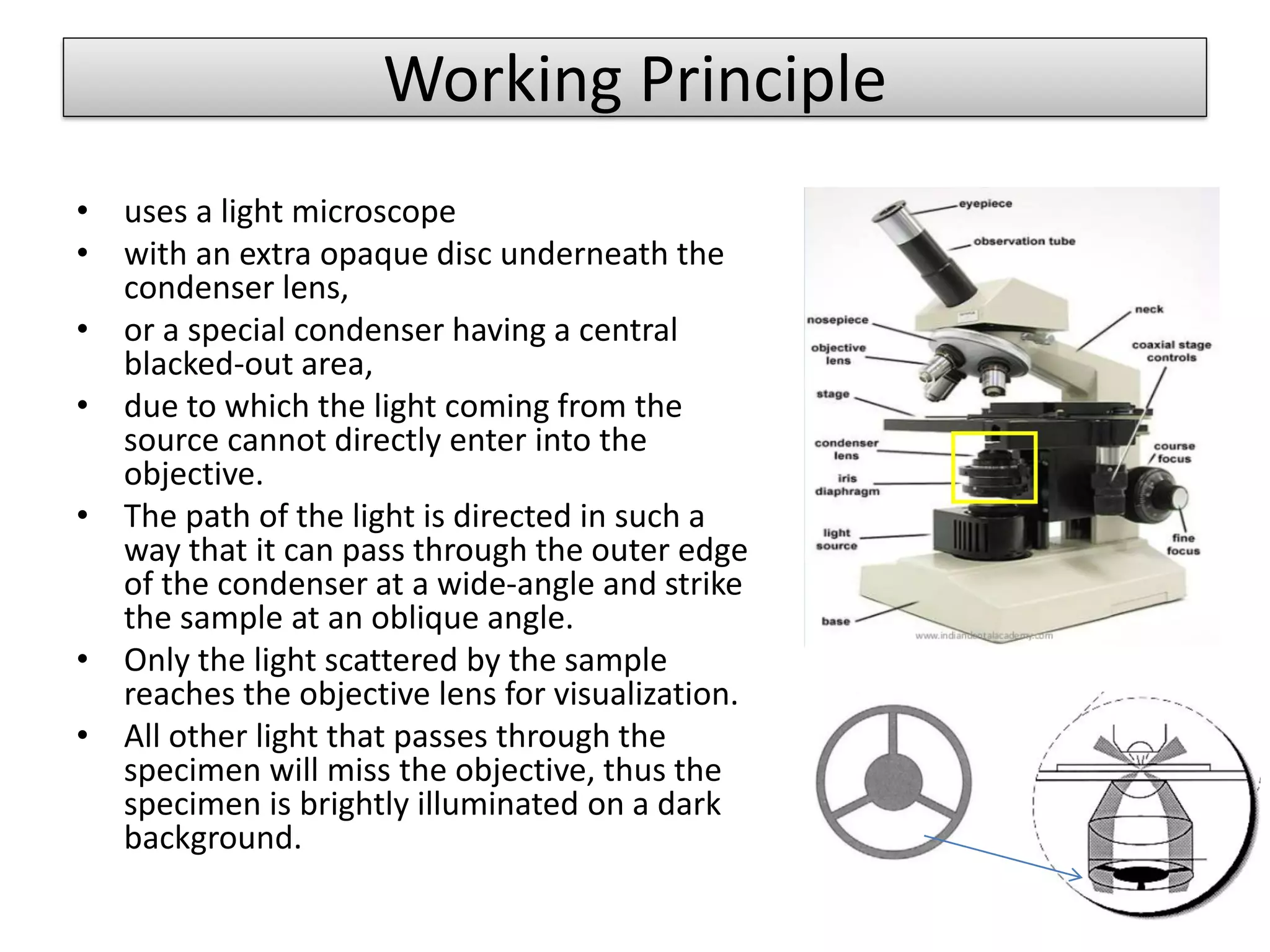 Working Principle
• uses a light microscope
• with an extra opaque disc underneath the
condenser lens,
• or a special condenser having a central
blacked-out area,
• due to which the light coming from the
source cannot directly enter into the
objective.
• The path of the light is directed in such a
way that it can pass through the outer edge
of the condenser at a wide-angle and strike
the sample at an oblique angle.
• Only the light scattered by the sample
reaches the objective lens for visualization.
• All other light that passes through the
specimen will miss the objective, thus the
specimen is brightly illuminated on a dark
background.
 