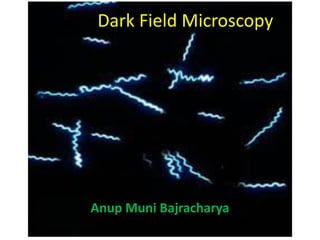 Dark Field Microscopy
Anup Muni Bajracharya
 