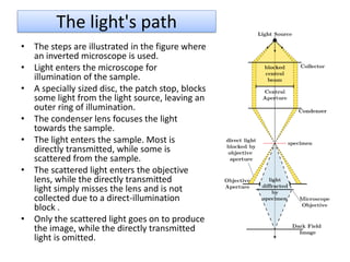 The light's path
• The steps are illustrated in the figure where
an inverted microscope is used.
• Light enters the microscope for
illumination of the sample.
• A specially sized disc, the patch stop, blocks
some light from the light source, leaving an
outer ring of illumination.
• The condenser lens focuses the light
towards the sample.
• The light enters the sample. Most is
directly transmitted, while some is
scattered from the sample.
• The scattered light enters the objective
lens, while the directly transmitted
light simply misses the lens and is not
collected due to a direct-illumination
block .
• Only the scattered light goes on to produce
the image, while the directly transmitted
light is omitted.
 