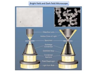 Bright field and Dark field Microscope
 