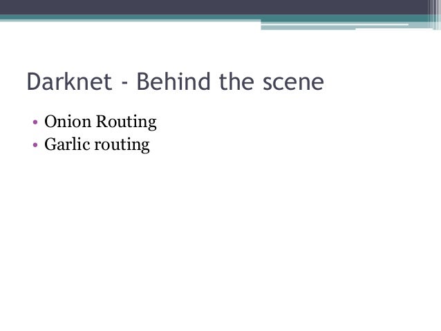 the darknet and the future of A new study by recorded future has found that bitcoin is losing its position as the number one currency on the darknet markets the internet tech company analyzed 150 of the most active message boards, marketplaces, and illicit service providers and noticed that the darknet communities sentiments. the darknet and the future of A new study by recorded future has found that bitcoin is losing its position as the number one currency on the darknet markets the internet tech company analyzed 150 of the most active message boards, marketplaces, and illicit service providers and noticed that the darknet communities sentiments.