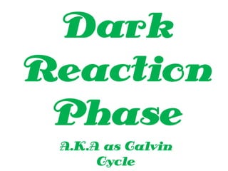 Dark
Reaction
Phase
A.K.A as Calvin
Cycle
 