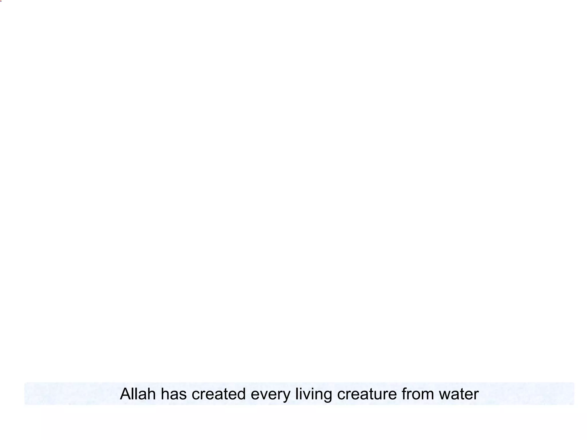 Allah has created every living creature from water 