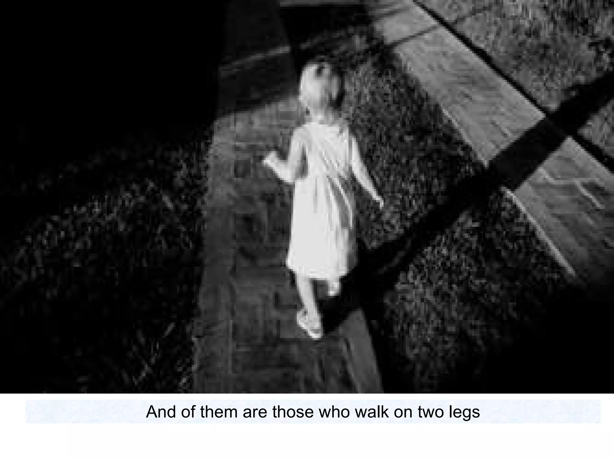 And of them are those who walk on two legs 