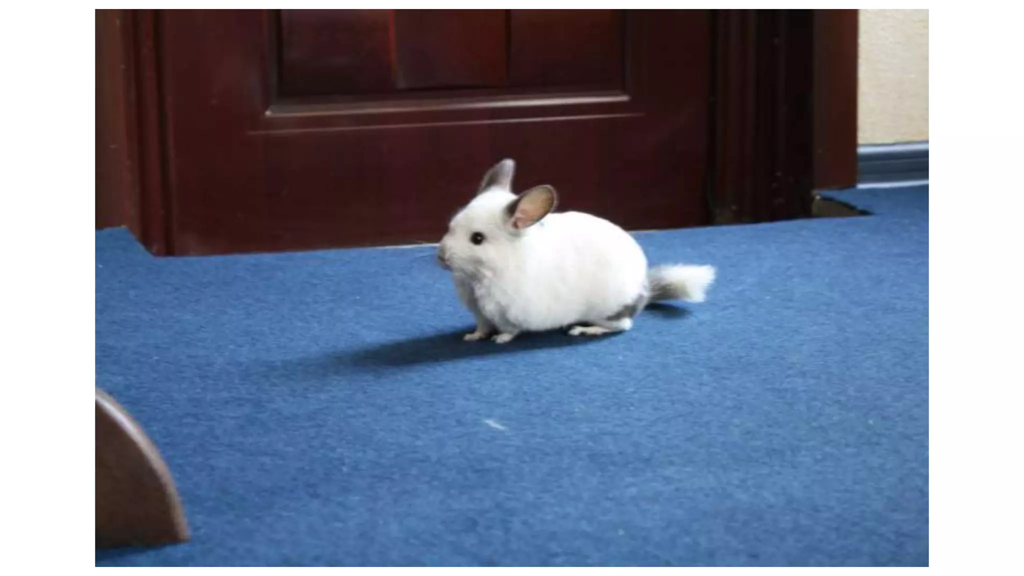 DrupalTour. Ivano-Frankivsk — Dark side of the Drupal (Artem Sylchuk, InternetDevels)