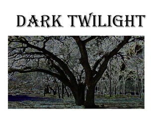 Dark Twilight 