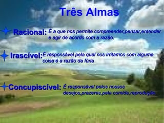 Três Almas Racional: Irascível: Concupiscível: É a que nos permite compreender,pensar,entender  e agir de acordo com a razão. É responsável pela qual nos irritamos com alguma coisa é a razão da fúria É responsável pelos nossos desejos,prazeres,pela comida,reprodução. 