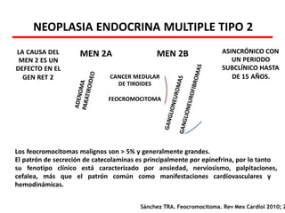 CANCER MEDULAR
DE TIROIDES
FEOCROMOCITOMA
LA CAUSA DEL
MEN 2 ES UN
DEFECTO EN EL
GEN RET 2
NEOPLASIA ENDOCRINA MULTIPLE TIPO 2
Los feocromocitomas malignos son > 5% y generalmente grandes.
El patrón de secreción de catecolaminas es principalmente por epinefrina, por lo tanto
su fenotipo clínico está caracterizado por ansiedad, nerviosismo, palpitaciones,
cefalea, más que el patrón común como manifestaciones cardiovasculares y
hemodinámicas.
ASINCRÓNICO CON
UN PERIODO
SUBCLÍNICO HASTA
DE 15 AÑOS.
Sánchez TRA. Feocromocitoma. Rev Mex Cardiol 2010; 2
MEN 2A MEN 2B
 