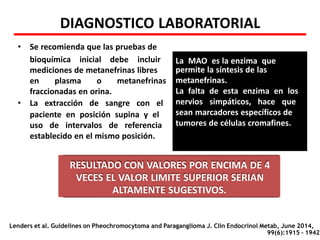 DIAGNOSTICO LABORATORIAL
• Se recomienda que las pruebas de
bioquímica inicial debe incluir
mediciones de metanefrinas libres
en plasma o metanefrinas
fraccionadas en orina.
• La extracción de sangre con el
paciente en posición supina y el
uso de intervalos de referencia
Lenders et al. Guidelines on Pheochromocytoma and Paraganglioma J. Clin Endocrinol Metab, June 2014,
99(6):1915 – 1942
La MAO es la enzima que
permite la síntesis de las
metanefrinas.
La falta de esta enzima en los
nervios simpáticos, hace que
sean marcadores específicos de
tumores de células cromafines.
establecido en el mismo posición.
RESULTADO CON VALORES POR ENCIMA DE 4
VECES EL VALOR LIMITE SUPERIOR SERIAN
ALTAMENTE SUGESTIVOS.
 