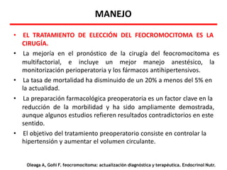 MANEJO
• EL TRATAMIENTO DE ELECCIÓN DEL FEOCROMOCITOMA ES LA
CIRUGÍA.
• La mejoría en el pronóstico de la cirugía del feocromocitoma es
multifactorial, e incluye un mejor manejo anestésico, la
monitorización perioperatoria y los fármacos antihipertensivos.
• La tasa de mortalidad ha disminuido de un 20% a menos del 5% en
la actualidad.
• La preparación farmacológica preoperatoria es un factor clave en la
reducción de la morbilidad y ha sido ampliamente demostrada,
aunque algunos estudios refieren resultados contradictorios en este
sentido.
• El objetivo del tratamiento preoperatorio consiste en controlar la
hipertensión y aumentar el volumen circulante.
Oleaga A, Goñi F. feocromocitoma: actualización diagnóstica y terapéutica. Endocrinol Nutr.
 