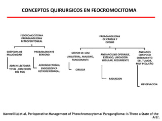 FEOCROMOCITOMA
PARAGANGLIOMA
RETROPERITONEAL
SOSPECHA DE
MALIGNIDAD
ADRENELECTOMIA
TOTAL , RESECCION
DEL PGG
PROBABLEMENTE
BENIGNO
ADRENELECTOMIA
ENDOSCOPICA
RETROPERITONEAL
PARAGANGLIOMA
DE CABEZA Y
CUELLO
MAYOR DE 1CM
UNILATERAL, MALIGNO,
FUNCIONANTE
CIRUGIA
ANCIANOS,NO OPERABLE,
EXTENSO, UBICACIÓN
YUGULAR, RECURRENTE
RADIACION
ANCIANOS
CON POCO
CRECIMIENTO
DEL TUMOR,
MUY PEQUEÑO
OBSERVACION
CONCEPTOS QUIRURGICOS EN FEOCROMOCITOMA
Mannelli M et al. Perioperative Management of Pheochromocytoma/ Paraganglioma: Is There a State of the
Art?.
 