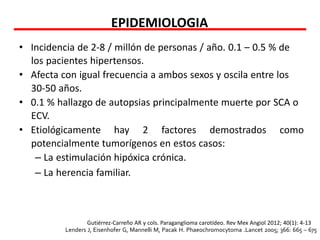 EPIDEMIOLOGIA
• Incidencia de 2-8 / millón de personas / año. 0.1 – 0.5 % de
los pacientes hipertensos.
• Afecta con igual frecuencia a ambos sexos y oscila entre los
30-50 años.
• 0.1 % hallazgo de autopsias principalmente muerte por SCA o
ECV.
• Etiológicamente hay 2 factores demostrados como
potencialmente tumorígenos en estos casos:
– La estimulación hipóxica crónica.
– La herencia familiar.
Gutiérrez-Carreño AR y cols. Paraganglioma carotídeo. Rev Mex Angiol 2012; 40(1): 4-13
Lenders J, Eisenhofer G, Mannelli M, Pacak H. Phaeochromocytoma .Lancet 2005; 366: 665 – 675
 