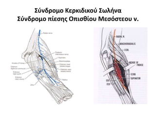 Σύνδρομο Κερκιδικού Σωλήνα 
Σύνδρομο πίεσης Οπισθίου Μεσόστεου ν. 
 