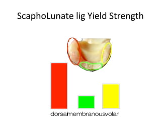 ScaphoLunate lig Yield Strength
dorsalmembranousvolar