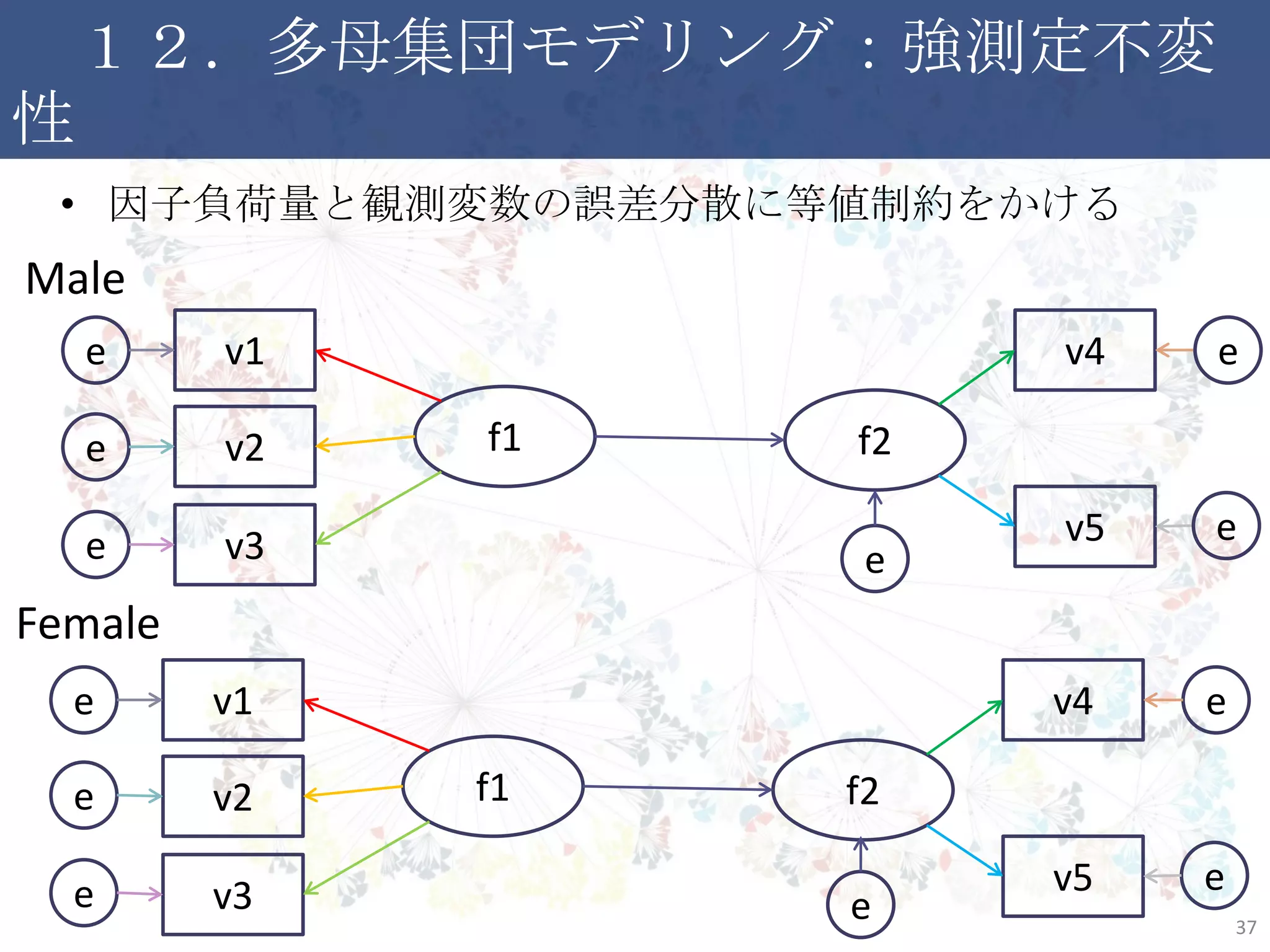 １２．多母集団モデリング：強測定不変性
• 因子負荷量と観測変数の誤差分散に等値制約をかける
37
f2f1
v1
v2
v3
v4
v5
e
e
e
f2f1
v1
v2
v3
v4
v5
e
e
e
e
e
Female
e
e
Male
e
e
 