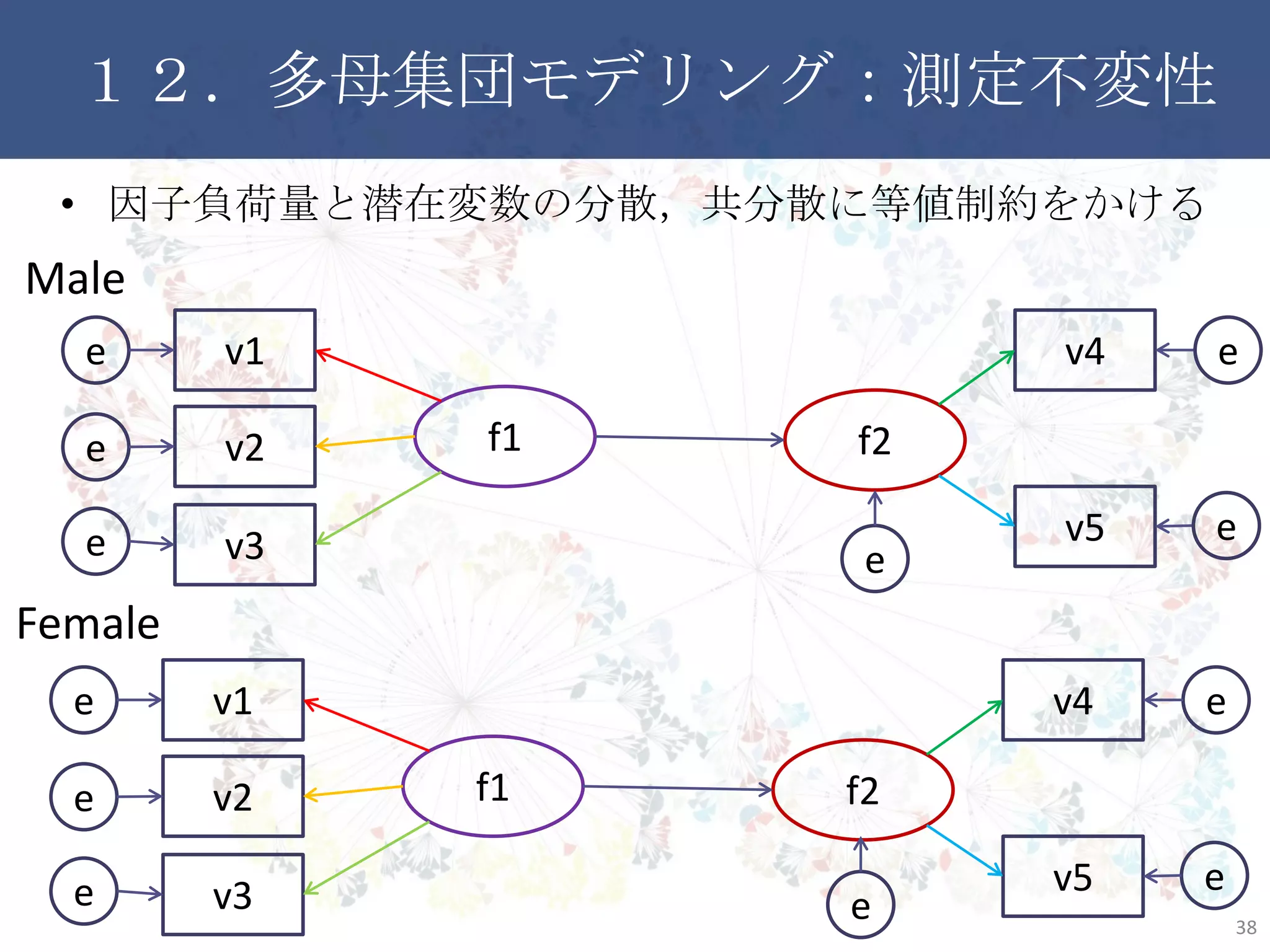 １２．多母集団モデリング：測定不変性
• 因子負荷量と潜在変数の分散，共分散に等値制約をかける
38
f2f1
v1
v2
v3
v4
v5
e
e
e
f2f1
v1
v2
v3
v4
v5
e
e
e
e
e
Female
e
e
Male
e
e
 