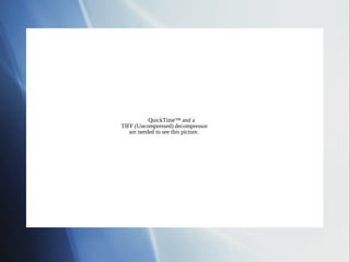 QuickTime™ and a
TIFF (Uncompressed) decompressor
   are needed to see this picture.
 