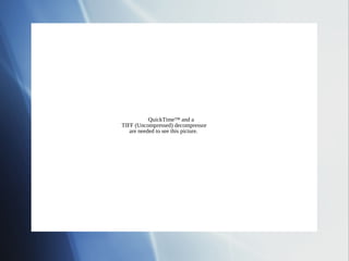 QuickTime™ and a
TIFF (Uncompressed) decompressor
   are needed to see this picture.
 