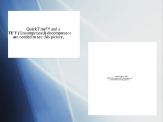 QuickTime™ and a
TIFF (Uncompressed) decompressor
  are needed to see this picture.




                                               QuickTime™ and a
                                    TIFF (Uncompressed) decompressor
                                       are needed to see this picture.
 