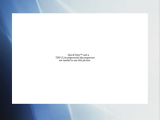 QuickTime™ and a
TIFF (Uncompressed) decompressor
   are needed to see this picture.
 