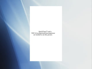 QuickTime™ and a
TIFF (Uncompressed) decompressor
   are needed to see this picture.
 