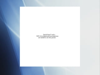 QuickTime™ and a
TIFF (Uncompressed) decompressor
   are needed to see this picture.
 