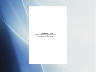 QuickTime™ and a
TIFF (Uncompressed) decompressor
   are needed to see this picture.
 