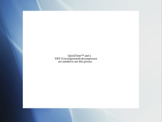 QuickTime™ and a
TIFF (Uncompressed) decompressor
   are needed to see this picture.
 