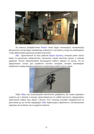 27
По замыслу разработчиков Petman также будет имитировать человеческую
физиологию, контролируя температуру, влажность и потливость, когда это необходимо,
чтобы обеспечивать реальные условия испытаний.
RiSE - единственный из всех роботов Boston Dynamics, который умеет лазить
вверх по различным поверхностям: панельным стенам высотных домов и стволам
деревьев. Четкое прямолинейное восхождение робота наводит на мысль, что он
предназначен только для отработки системы сенсоров, которая анализируют
поверхность перед соприкосновением и контролирует работу шести ножек.
Робот RHex стал кульминацией многолетних разработок. Он может развивать
скорость до 2 метров в секунду, ориентироваться на любой местности, преодолевать
практически любые ямы, бугры и болота. Этот гексапод способен передвигаться на
расстояние до 3,7 км без подзарядки. RHex превосходно справляется с поставленными
задачами как на Земле, так и на других планетах.
 