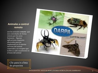 Animales a control
remoto
son los animales remoto que
son controlados de forma
remota por los seres
humanos. Algunas
aplicaciones requieren
electrodos para ser
implantado en el sistema
nervioso del animal
conectado a un receptor que
se lleva a cabo usualmente en
el lomo del animal
Clic para ir a lista
de proyectos
INTEGRANTES: NESTOR MERO,ANDRES NOBOA,EDGAR ZAMBRANO 9
 
