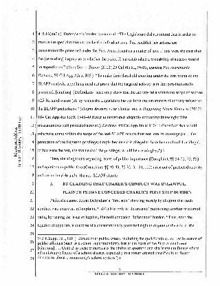 Darren Chaker AntiSLAPP First Amendment Law